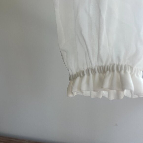 Aritzia Wilfred Wistful Long Sleeve Blouse - Picture 5 of 6